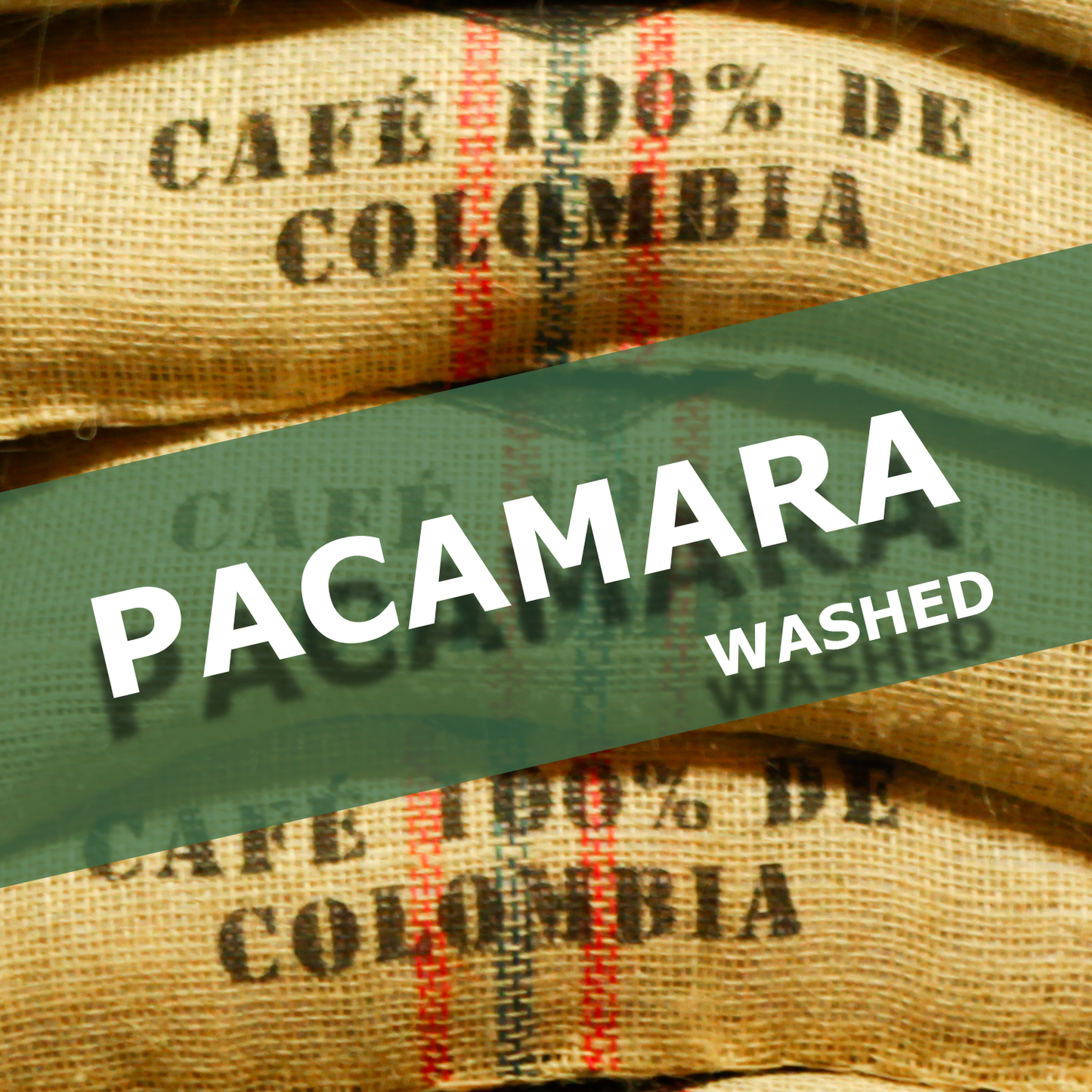 PACAMARA - WASHED
