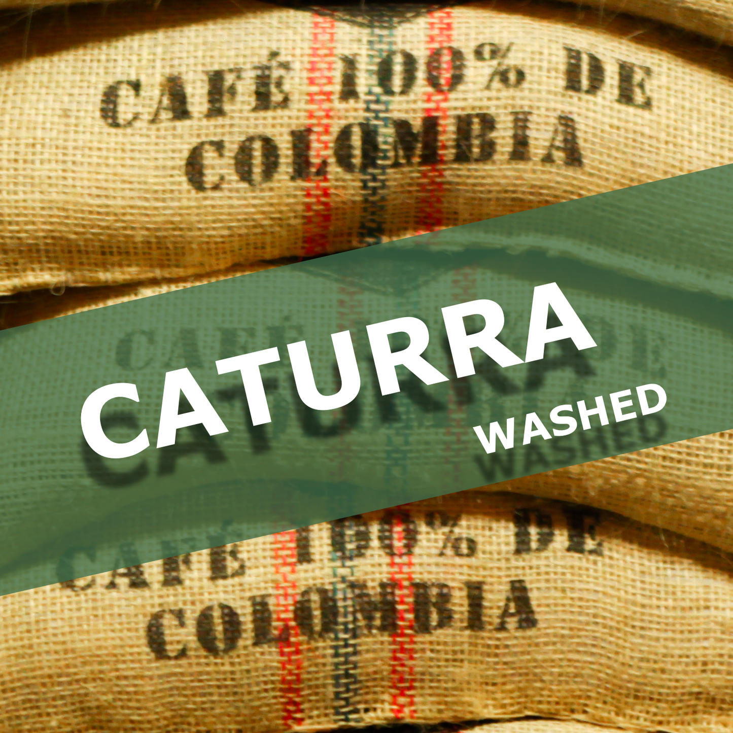 CATURRA - WASHED
