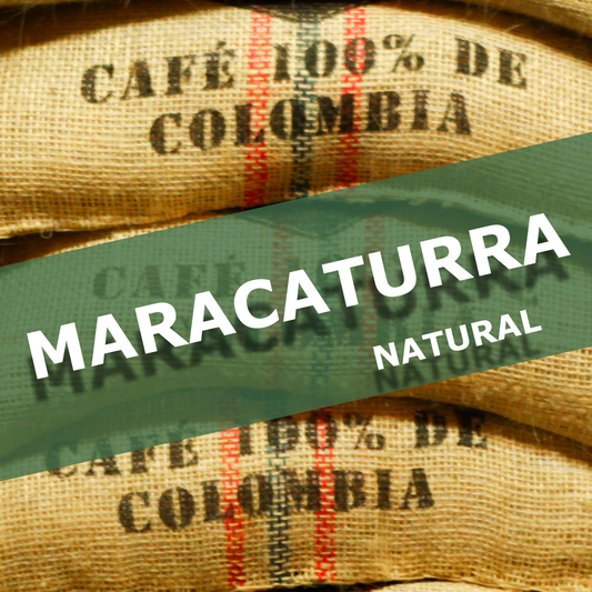 MARACATURRA - NATURAL