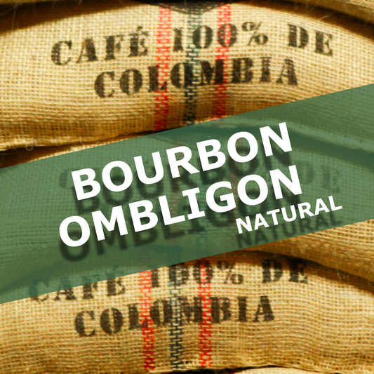 BOURBON OMBLIGON - NATURAL