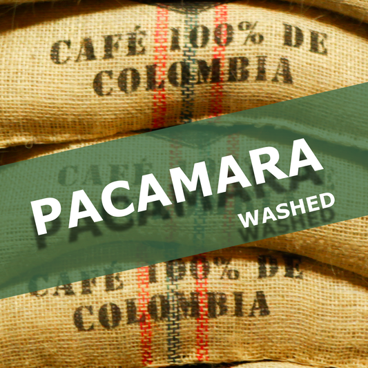 PACAMARA - WASHED