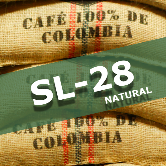 SL 28  - NATURAL