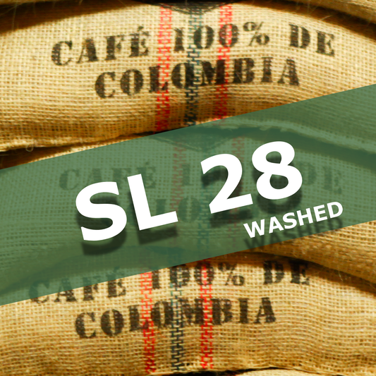 SL 28 - WASHED
