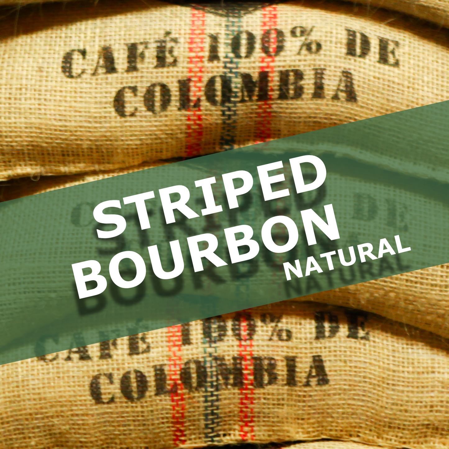 STRIPED BOURBON - NATURAL