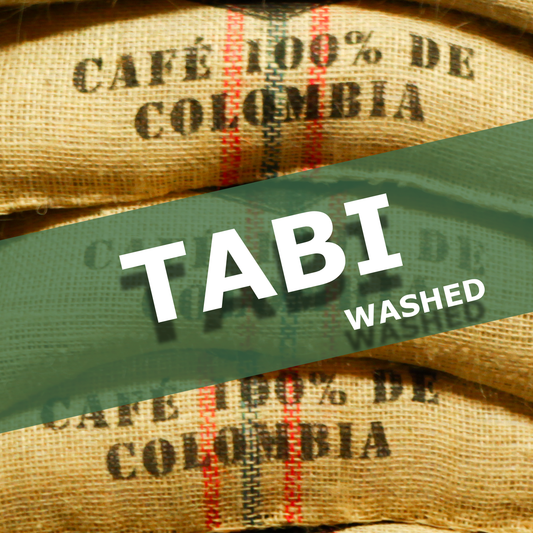 TABI - WASHED